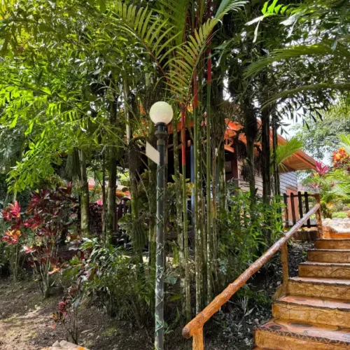 Forest Bungalows