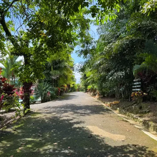 Forest Bungalows