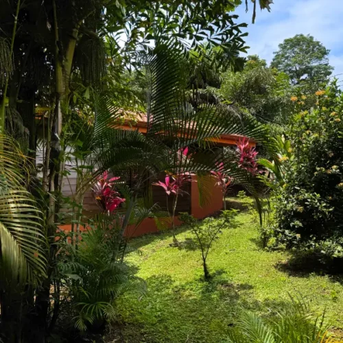 Forest Bungalows