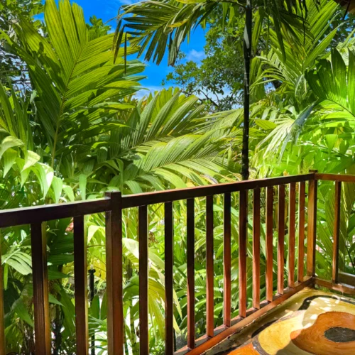 Premium Tree House