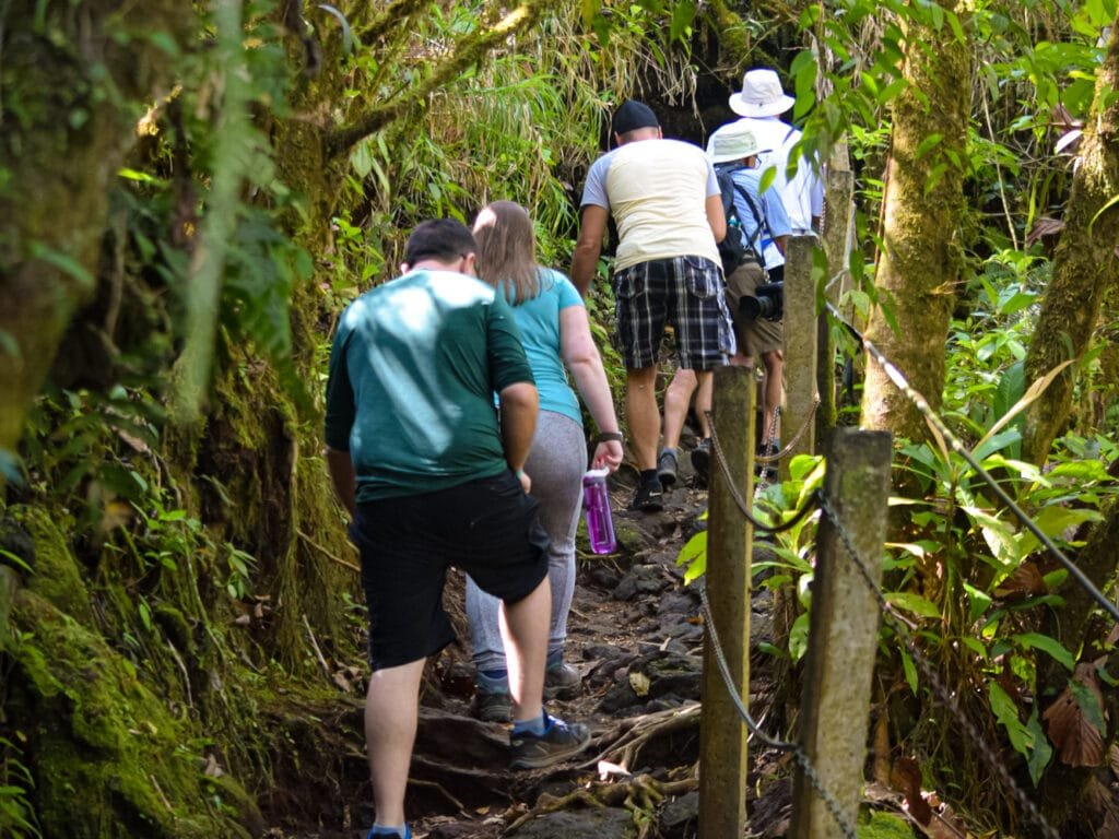 HIKE ARENAL VOLCANO LA FORTUNA