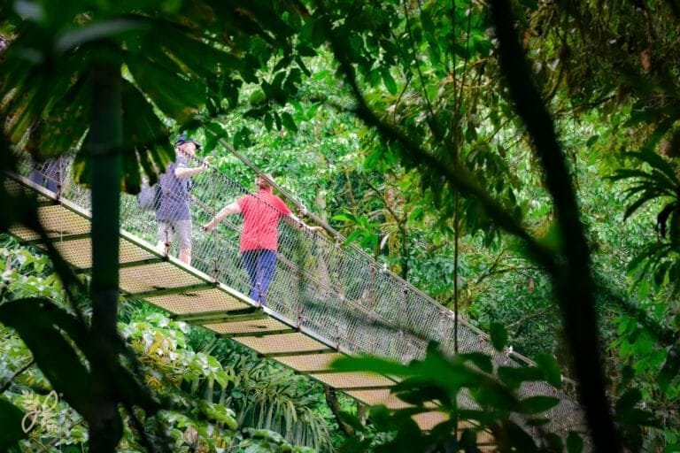 MISTICO PARK HANGING BRIDGESLAFORTUNA-COSTA RICA-ARENAL