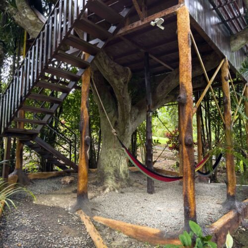 Deluxe Tree House
