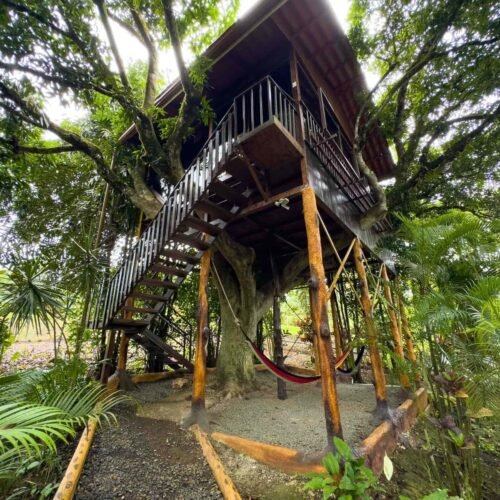 Deluxe Tree House