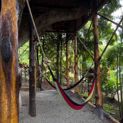 Deluxe Tree House