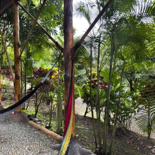 Deluxe Tree House