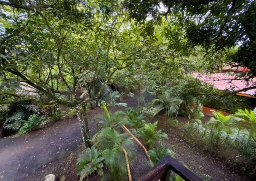 Deluxe Tree House
