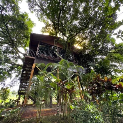 Deluxe Tree House