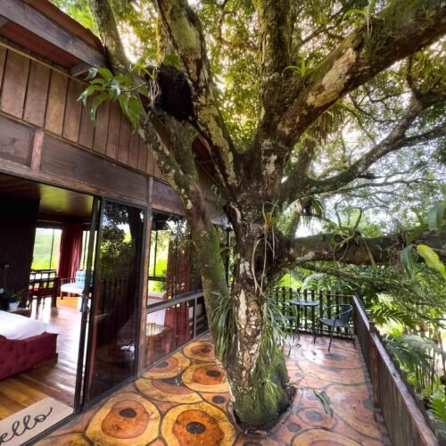 Deluxe Tree House