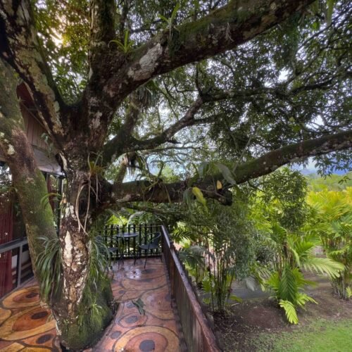 Deluxe Tree House