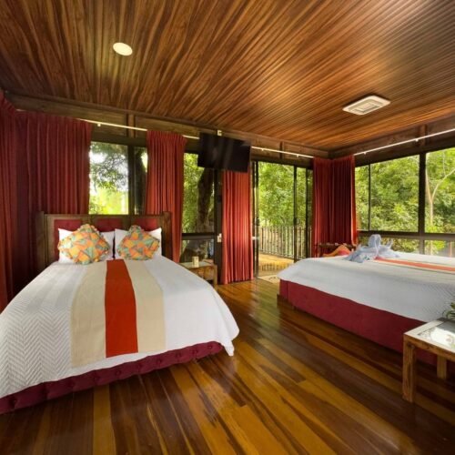 Deluxe Tree House