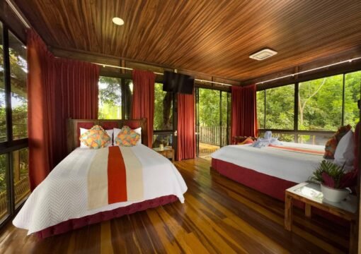 Deluxe Tree House